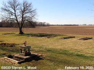 Our Senior Garden - February 19, 2023