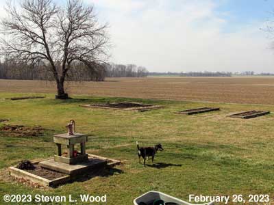 Our Senior Garden - February 26, 2023