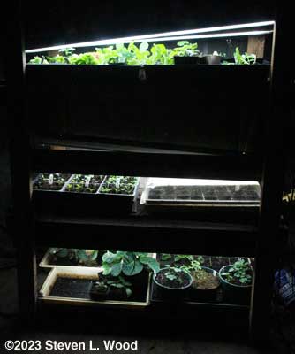 Plant rack - March 31, 2023
