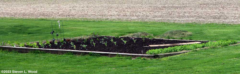 Main raised bed - April 16, 2023