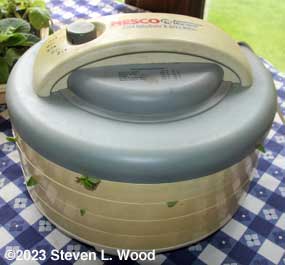 Oregano in food dehydrator