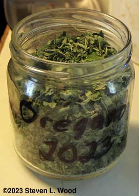 Dried, crushed oregano in storage jar