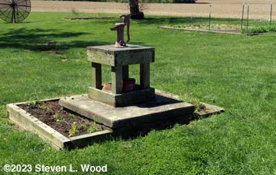 Herb bed around shallow well