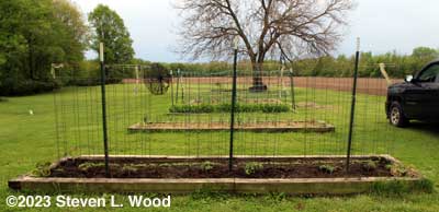 Tomato and spinach bed