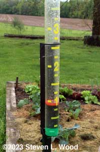 Hurray! An inch of rain!