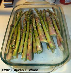 Today's asparagus harvest