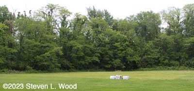 East Garden plot