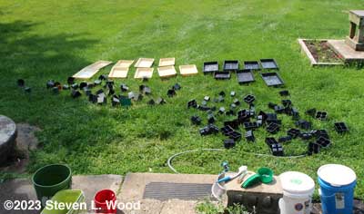 Trays, pots, and inserts drying on the lawn