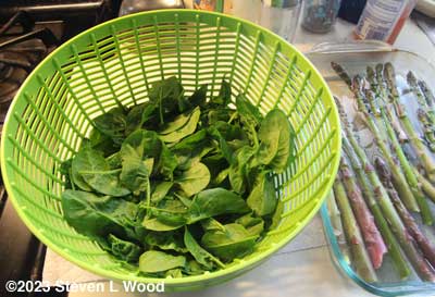 Salad spinner with spinach