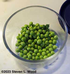 Shelled peas