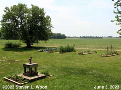 Our Senior Garden - June 3, 2023
