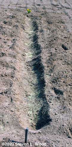 Furrow with solid soil amendments added