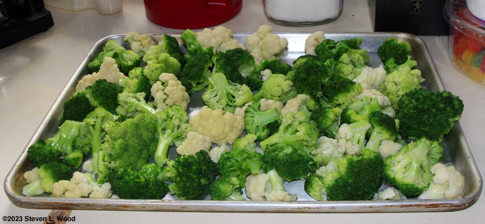 Blanched broccoli and cualiflower ready for freezing