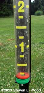 Rain Gauge - June 7, 2023