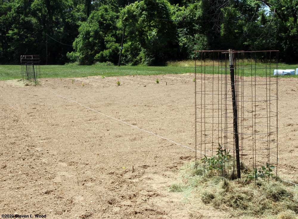 Partial view of our current East Garden