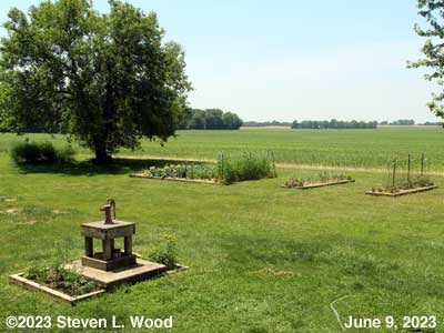 Our Senior Garden - June 9, 2023