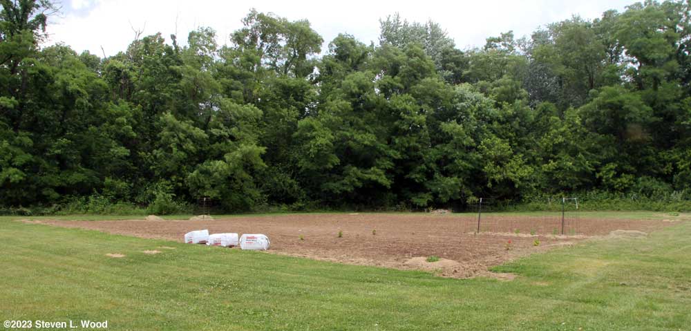 Our East Garden - June 13, 2023