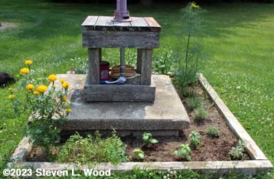 Herb bed west side