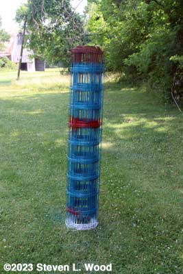Painted remesh