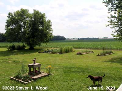 Our Senior Garden and Petra - June 19, 2023