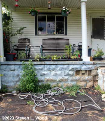 Cold frame gone, plants on porch