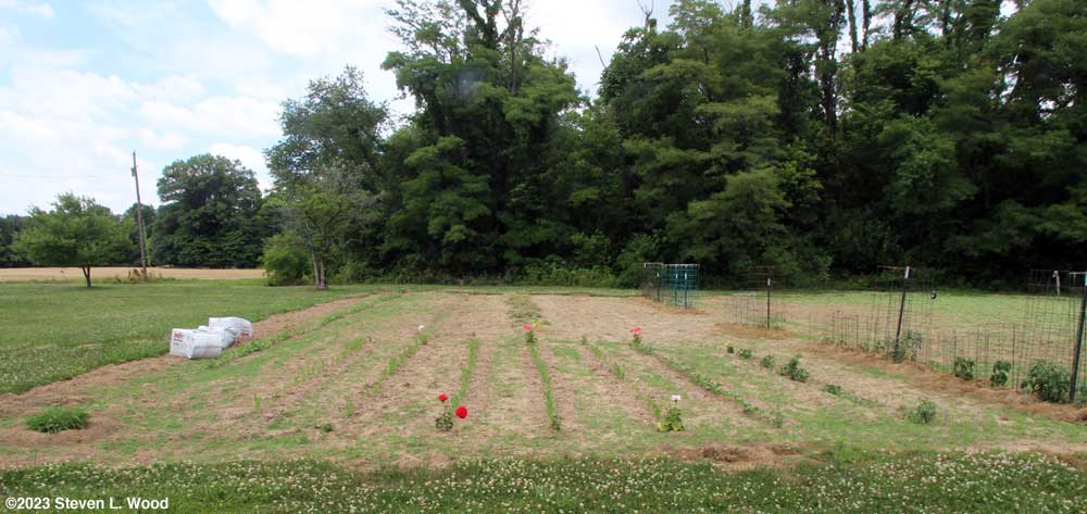 Our East Garden - June 23, 2023