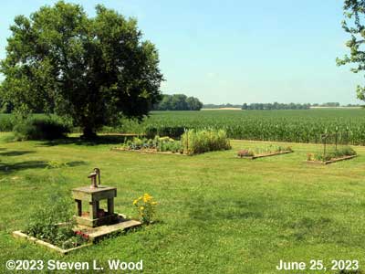 Out Senior Garden - June 25, 2023