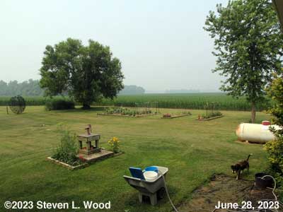 Our hazy Senior Garden - June 28, 2023