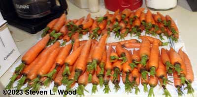 Cleaned carrots