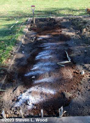 Deep digging garlic area