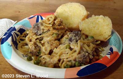 Turkey tetrazzini