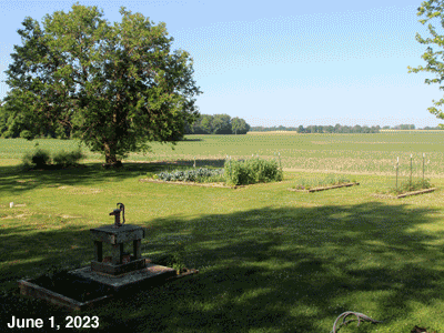June, 2023, animated GIF of our Senior Garden