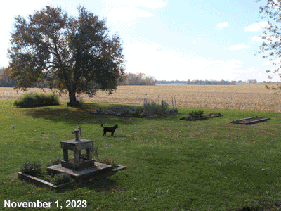 November, 2023, animated GIF of our Senior Garden