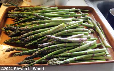 Today's asparagus