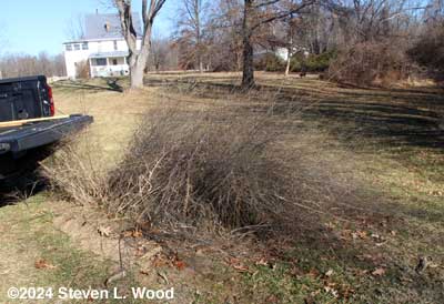 Bonnie's patch before cleanup