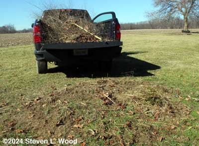 Patch cleared with cuttings on truck
