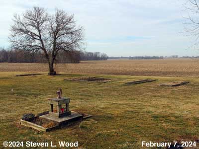Our Senior Garden - February 7, 2024
