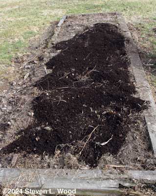 Compost on asparagus bed