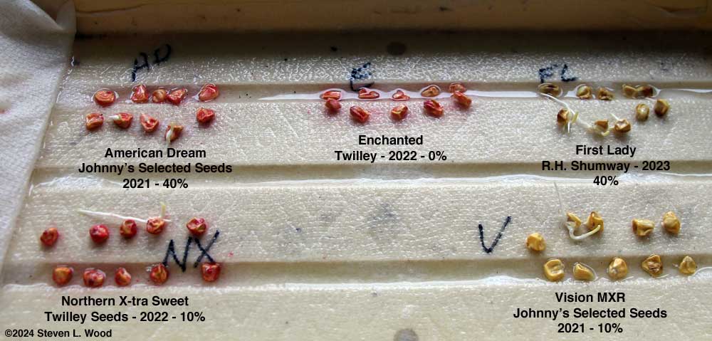 Sweet Corn Germination Test