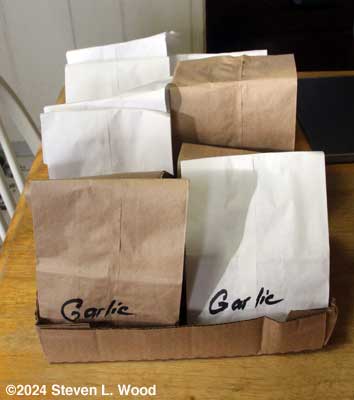 Bagged garlic for the food bank