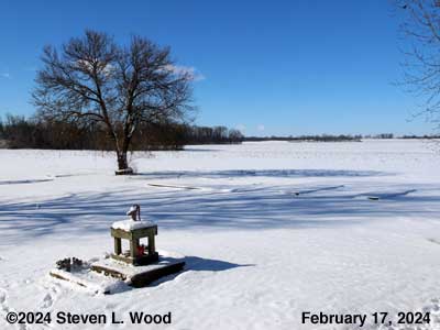 Our Senior Garden - February 17, 2024