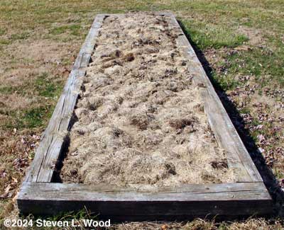 Pea bed mulched
