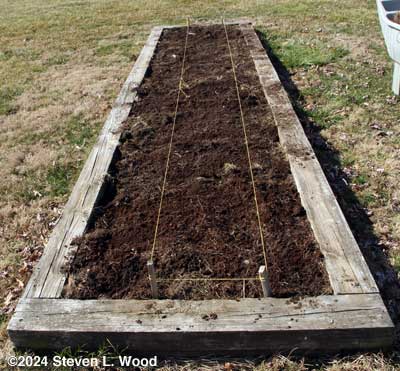 Pea bed cleared of mulch and staked