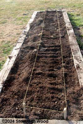 Seed covered and tamped down