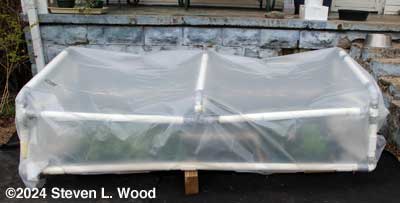 Cold frame propped open