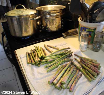 blanching asparagus