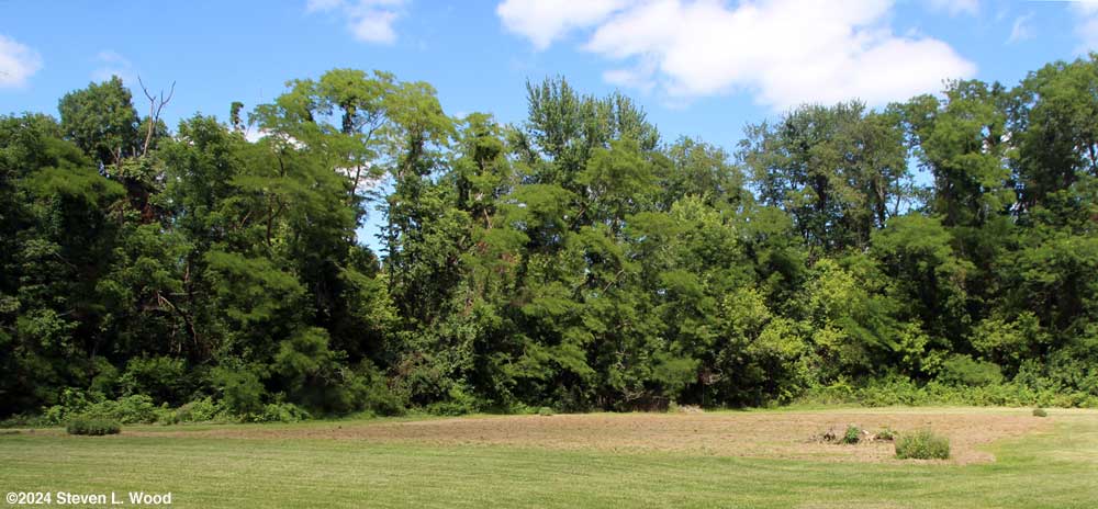 East Garden tilled