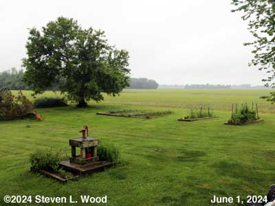 Our Senior Garden - June 1, 2024