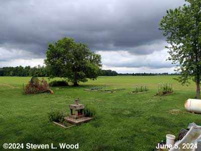 Our Senior Garden - June 5, 2024