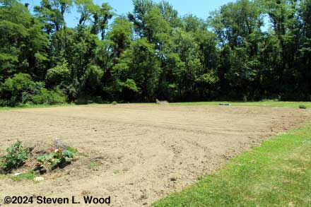 East Garden partially tilled